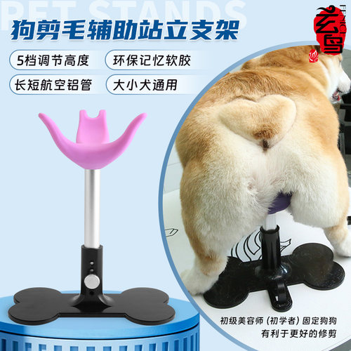 玄鸟狗辅助站立支架安全稳定