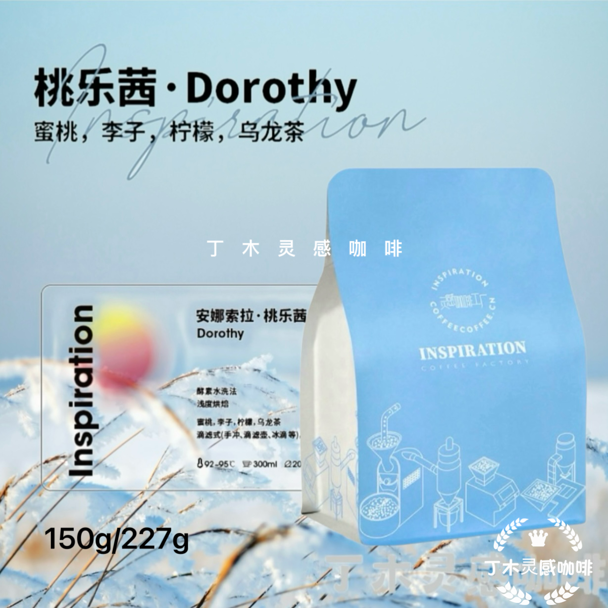 埃塞尔比亚桃乐茜 手冲纯黑咖啡豆G1 白桃乌龙茶酵素水洗浅中烘焙