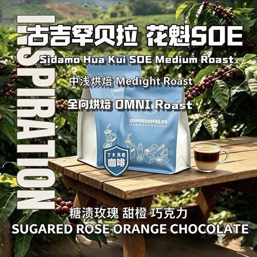古吉罕贝拉花魁G1巧克力甜甘莓果