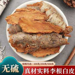 李根白皮中药材李树白根深山白皮根皮天然野生新货无硫熏干货500g