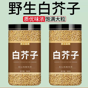 白芥子中药材正品500g干货野生白介子小伸筋草炒熟生白芥子粉籽粉