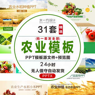农业果蔬招商ppt模板产品项目介绍生态绿色粮食生物科技模板wps