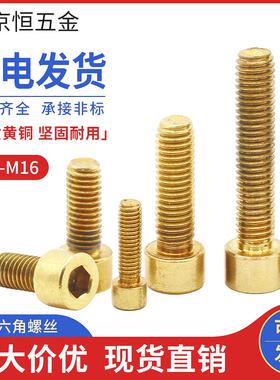 H62纯铜内六角螺丝螺栓 M20*80mm M20x80mm 有现货