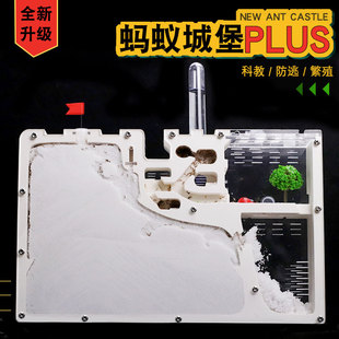 2021超大蚂蚁城堡沙巢宫殿学生观察送蚁后对战繁殖版 产卵蚂蚁工坊