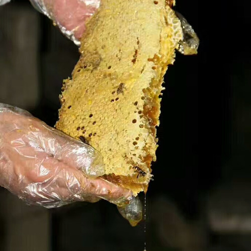 秦岭终南山土蜂蜜纯正天然野生
