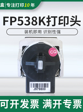 适用映美FP538K FP312 530KIII 530K3+ 560K 620K+ 630K+打印头