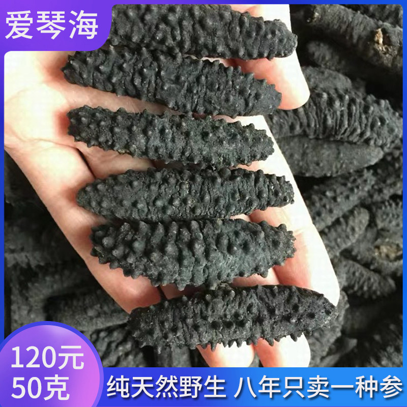 进口土耳其野生米刺参