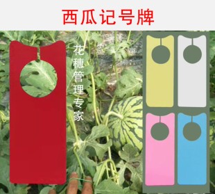 果农乐西瓜记号牌果蔬记牌授粉记号卡分色园艺标签管理牌