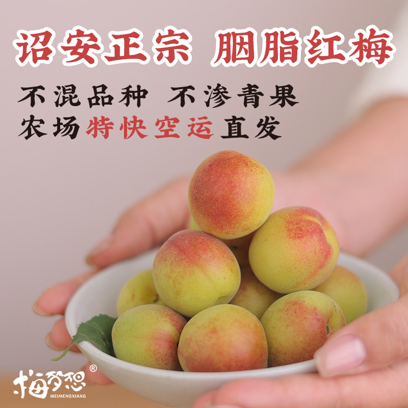 新鲜胭脂梅鲜果福建诏安红梅泡酒专用青梅鲜果黄梅现摘级特鲜梅子
