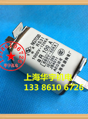 上海飞灵NGTC00快速熔断器RS31-100A 方管刀形触头快速熔芯NGTCOO