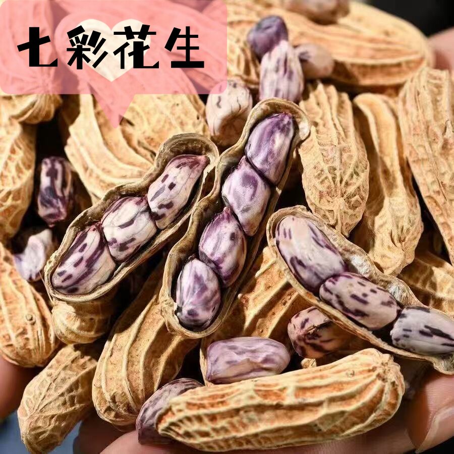 新花生正宗云南七彩花生带壳龙岩湿烤七彩花生咸香酥脆休闲零食