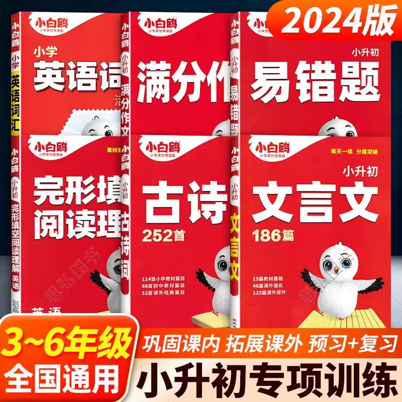 2024小白鸥小升初专项训练