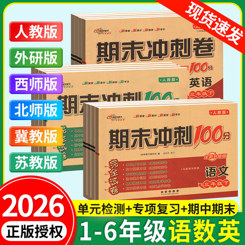 期末冲刺100分试卷测试卷全套