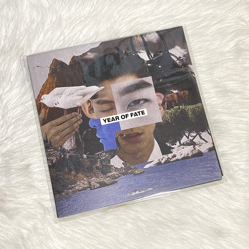 正版 傻子与白痴专辑 year of fate 蔡维泽 lp黑胶唱片 12寸唱盘