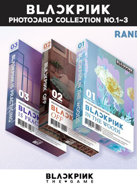 现货正版 BLACKPINK 粉墨游戏周边 THE GAME PHOTOCARD 小卡贴纸