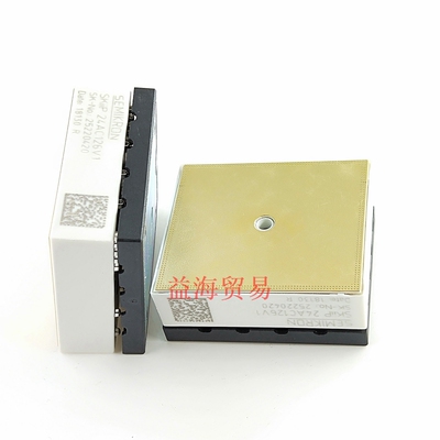 SKIIP28ANB16V2 全新功率模块 SKIIP25AC126V1 SKIIP 24AC126V1