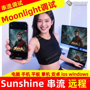 Moonlight +sunshine 月光 远程串流PC调试+咨询 一对一服务