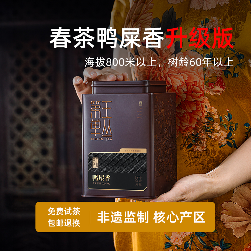 特级鸭屎香清甜韵足老枞单丛茶