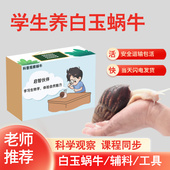 白玉蜗牛宠物活体学生科学实验观察套装 美容观赏褐云玛瑙螺小蜗牛