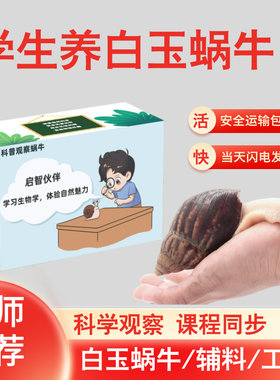 宠物白玉蜗牛小活体套装学生实验