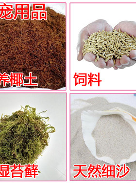 白玉蜗牛爬宠椰土保湿苔藓