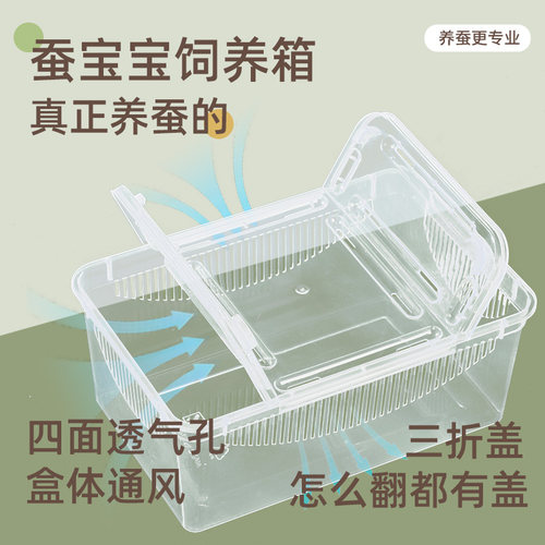 蚕宝宝大小透气饲养箱蚕菇凉