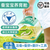 蚕宝宝太空饲养舱学生养蚕套装 科学课观察幼蚕活体蚕卵工具包 春季