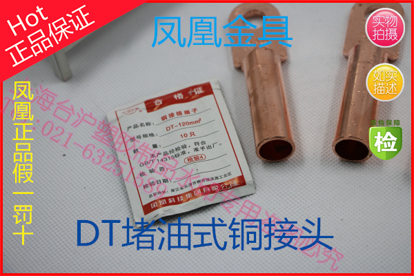 凤凰DT堵油式铜接头 DT-120MM2 120平方铜鼻子 线耳 B级 接线端子