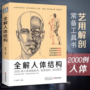 经典全集 全解人体结构艺术用解剖学工具书籍素描美术绘画入门教程理解骨骼肌肉运动造型形体手绘技法笔记图集教材