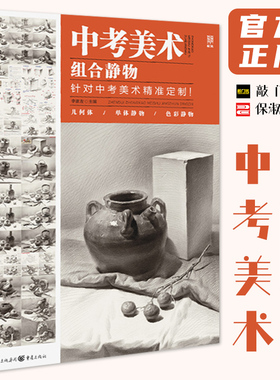 中考美术组合静物 2022敲门砖李家友素描基础组合素描静物步骤解析完整稿临摹范本美术教材教程基础入门画册书籍