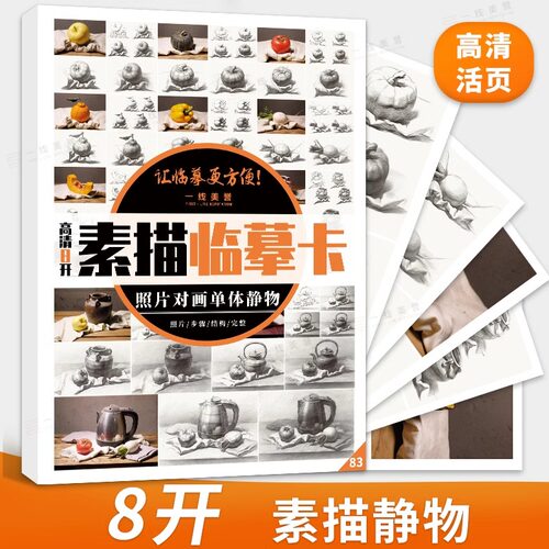 照片对画单体静物素描临摹卡