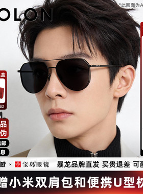 暴龙眼镜太阳镜男飞行员款开车驾驶防紫外线防强光偏光墨镜BL8122
