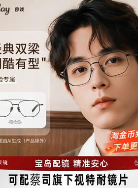 流光系列  钛合金双梁眼镜框架近视可配度数飞行员眼镜男大脸8004