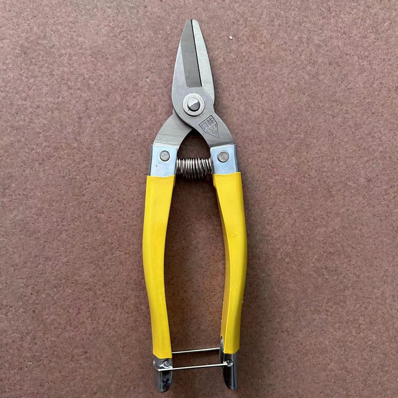 罗定牌果剪长梢剪皇帝柑稀果子剪摘果剪刀园艺园林修枝修花采果剪