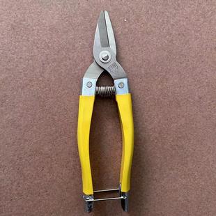 罗定牌果剪长梢剪皇帝柑稀果子剪摘果剪刀园艺园林修枝修花采果剪