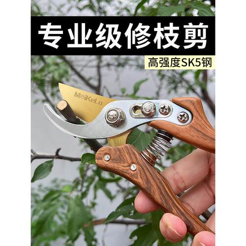 修枝剪园艺剪刀剪树枝专用园林修剪果树修枝花艺修花剪剪枝剪粗枝
