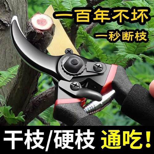 德国进口修枝剪树枝剪园林修剪SK5强力粗支剪省力修花枝家用神器