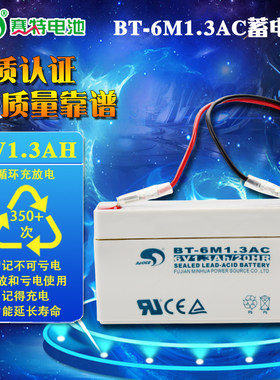 天平专用福建赛特维护铅酸