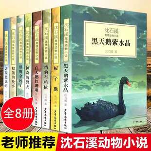 动物小说大王沈石溪作品激情动物说棕熊的故事雄鹰金闪子板子猴狼王梦学生课外书三四五六年级 7-10-15岁儿童动物小说故事书沈石溪