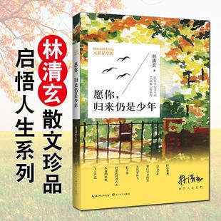 红心番薯 鸳鸯香炉 愿你归来仍是少年林清玄启悟人生系列散文珍品45篇水彩私享版 现代当代著名文学精选书籍全彩插图白雪少年