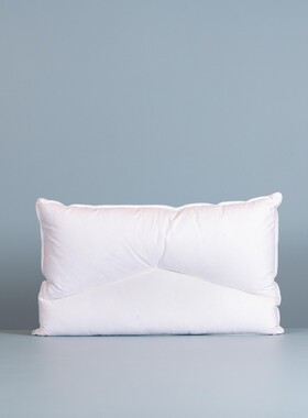 Minardi Bipillo 三分区鹅绒枕