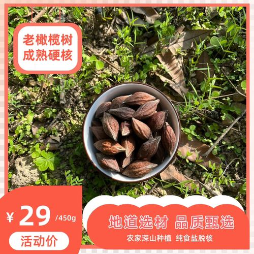 大果成熟橄榄核中药材橄榄子