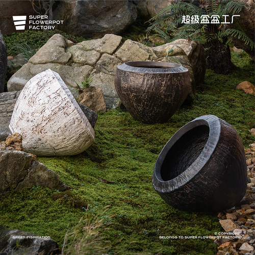 超级盆盆真绿植室内花盆