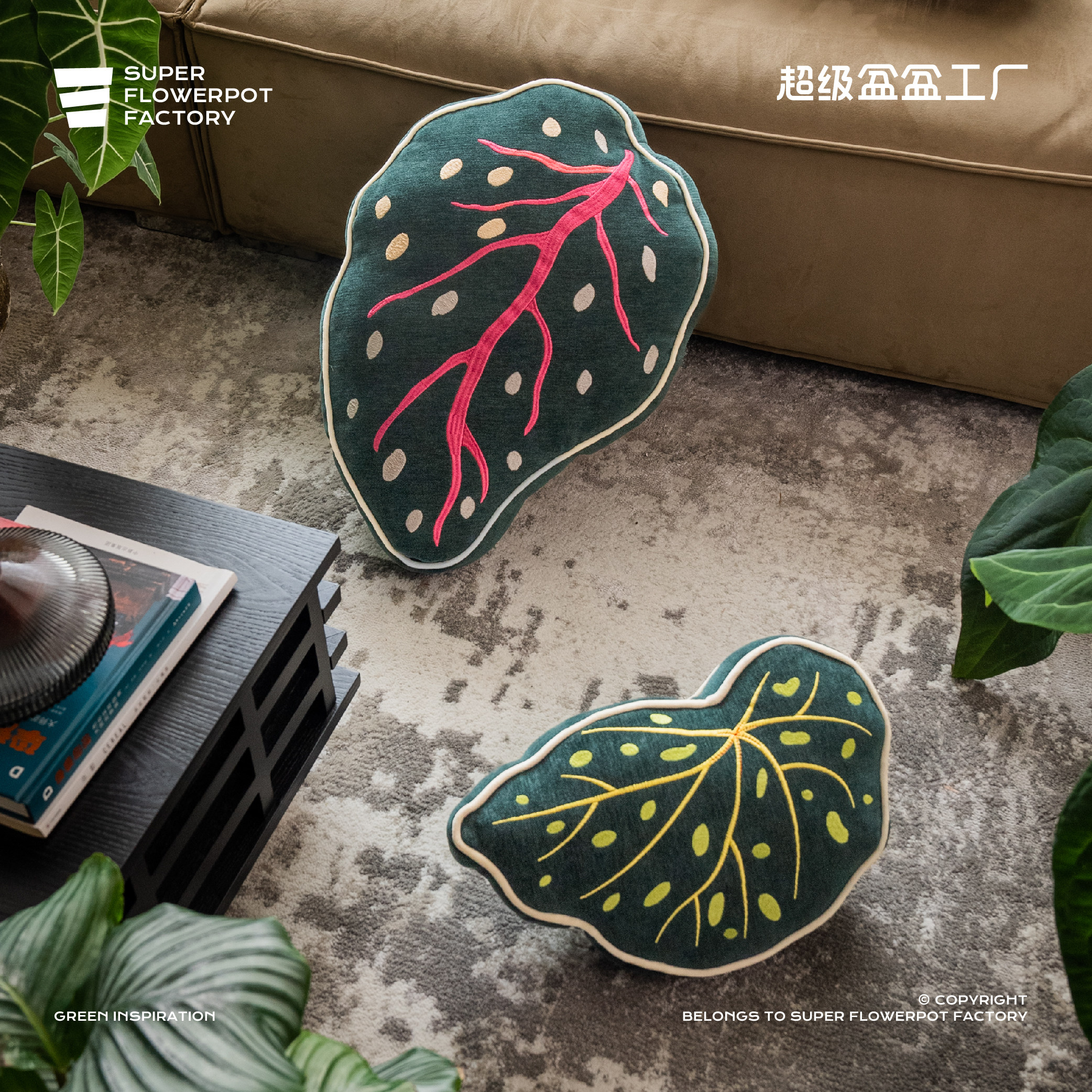 超级盆盆原创设计植物抱枕