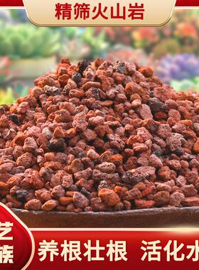 火山石颗粒多肉兰花专用颗粒土盆栽铺面石鱼缸底砂滤材水族火山岩