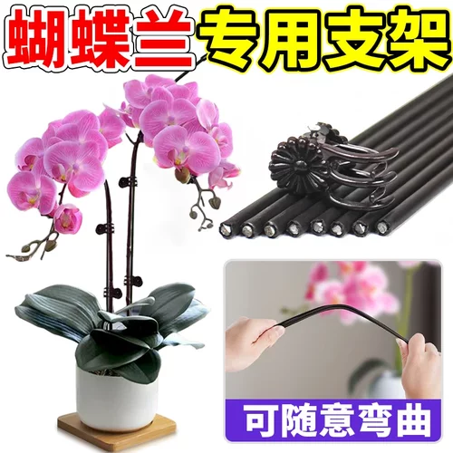 蝴蝶兰支架支撑杆造型架园艺花卉花枝植物包塑花架固定夹子防倒伏