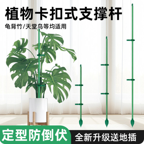 花支撑架植物防倒伏支撑杆西红柿番茄辣椒固定杆爬藤吊兰园艺花架