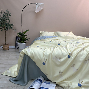 实物比图片好看 新款100支兰精天丝四件套 百分百莱赛尔纤维床品