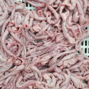 鲤鱼草鱼花鲢黑鱼青鱼活鱼现杀鱼肠新鲜鱼肠鱼杂内脏健康营养商用