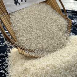 黄河古稻大米5斤装无打蜡无抛光原色原香保留胚芽黄河大米黄河米